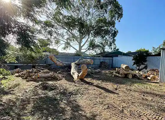 Tree and Stump removal services in Adelaide